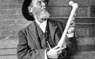 Le fondateur de l’Ostéopathie : Andrew Taylor Still