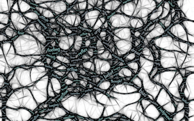 🧠 Ostéopathie & Neurosciences : comment le toucher réorganise le corps… et le cerveau